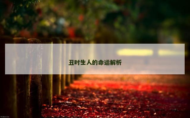 丑时生人的命运解析