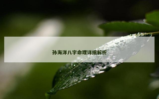 孙海洋八字命理详细解析