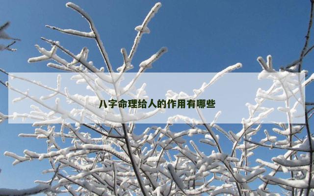 八字命理给人的作用有哪些