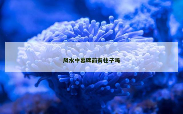 风水中墓碑前有柱子吗