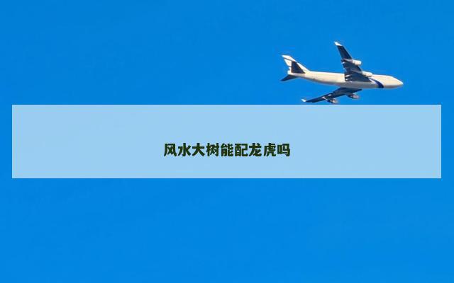 风水大树能配龙虎吗