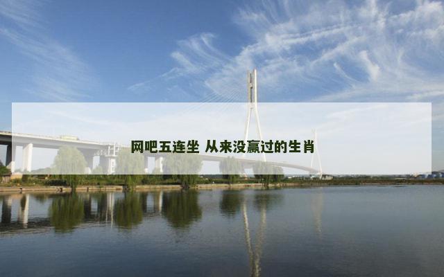 网吧五连坐 从来没赢过的生肖