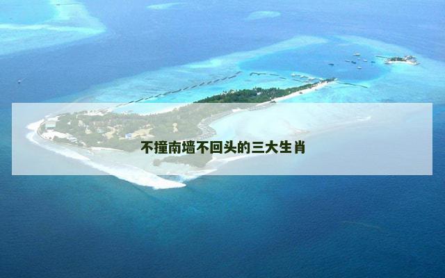 不撞南墙不回头的三大生肖