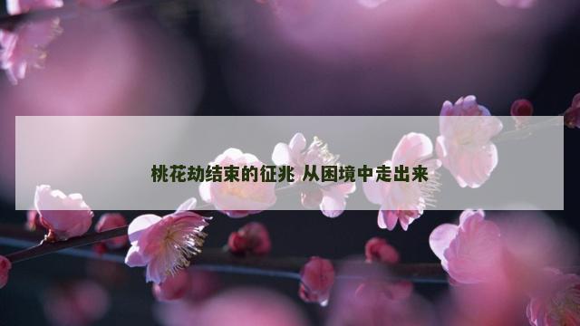 桃花劫结束的征兆 从困境中走出来