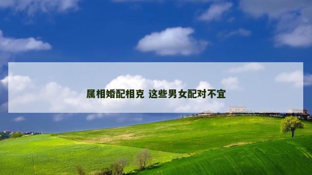 属相婚配相克 这些男女配对不宜