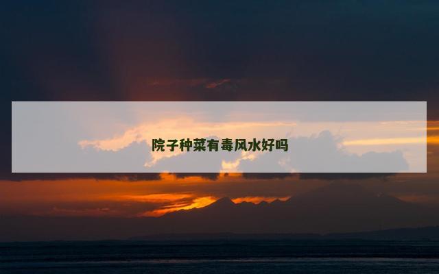 院子种菜有毒风水好吗