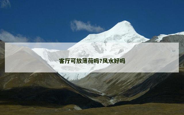客厅可放薄荷吗?风水好吗