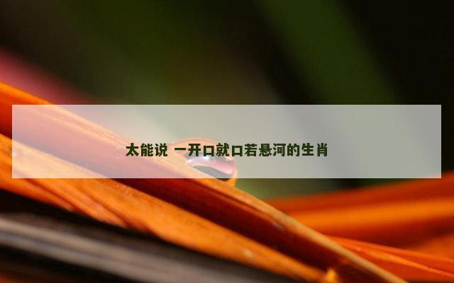 太能说 一开口就口若悬河的生肖