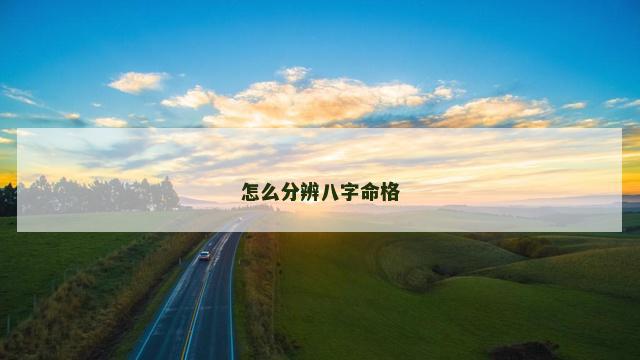 怎么分辨八字命格
