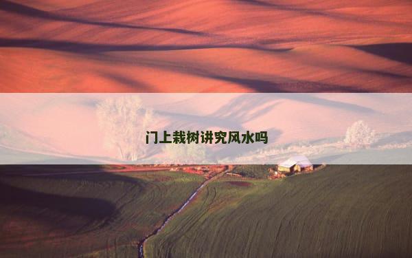 门上栽树讲究风水吗