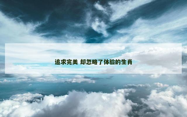 追求完美 却忽略了体验的生肖