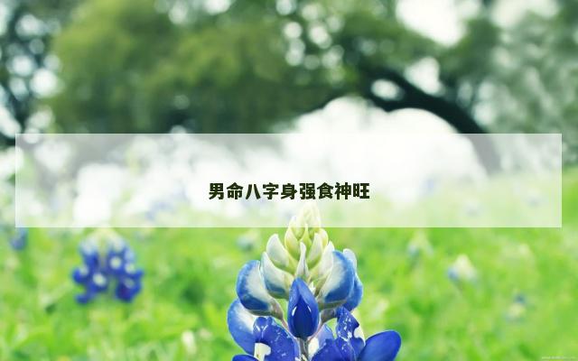 男命八字身强食神旺