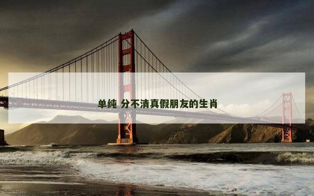 单纯 分不清真假朋友的生肖