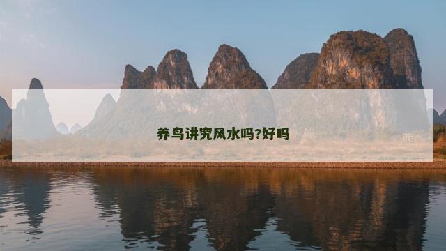 养鸟讲究风水吗?好吗