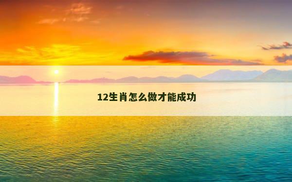 12生肖怎么做才能成功