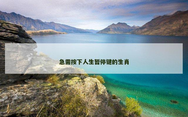 急需按下人生暂停键的生肖