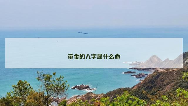 带金的八字属什么命