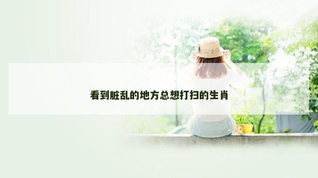 看到脏乱的地方总想打扫的生肖