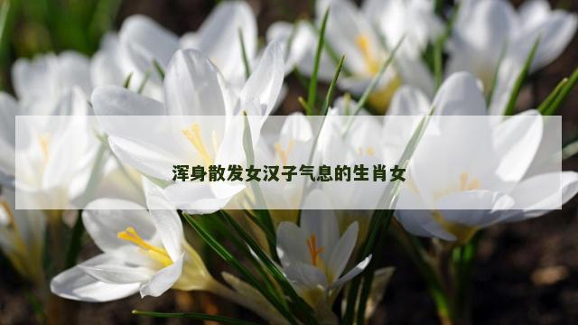 浑身散发女汉子气息的生肖女