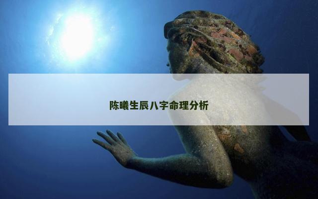 陈曦生辰八字命理分析