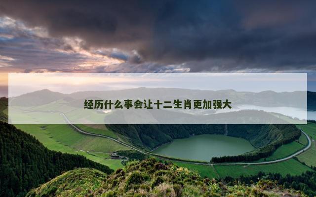 经历什么事会让十二生肖更加强大