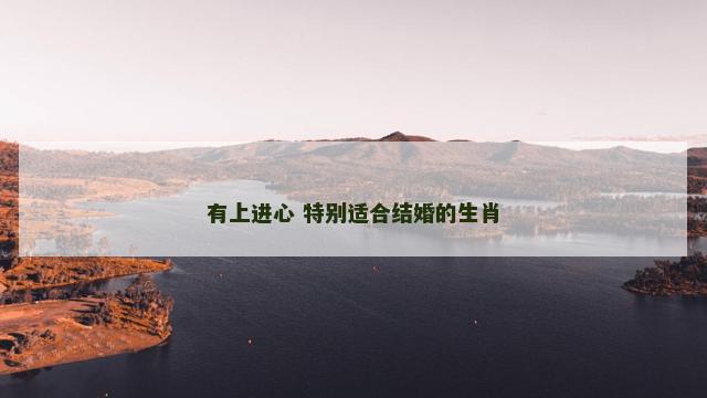 有上进心 特别适合结婚的生肖