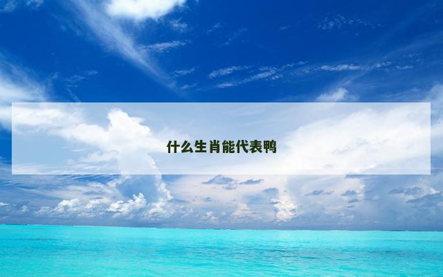什么生肖能代表鸭