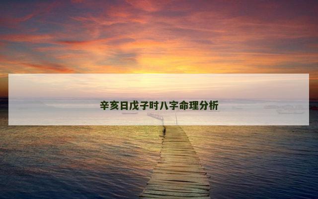 辛亥日戊子时八字命理分析