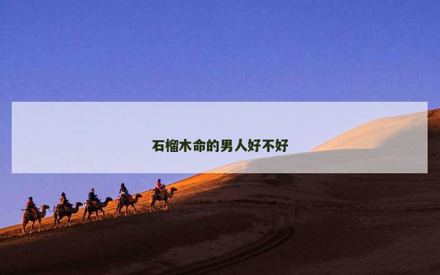 石榴木命的男人好不好
