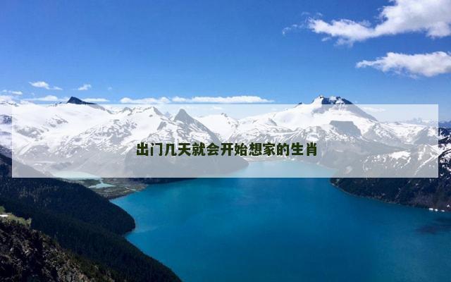出门几天就会开始想家的生肖