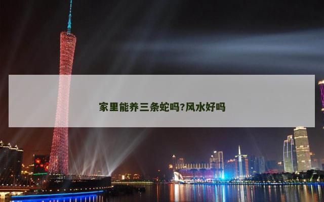家里能养三条蛇吗?风水好吗