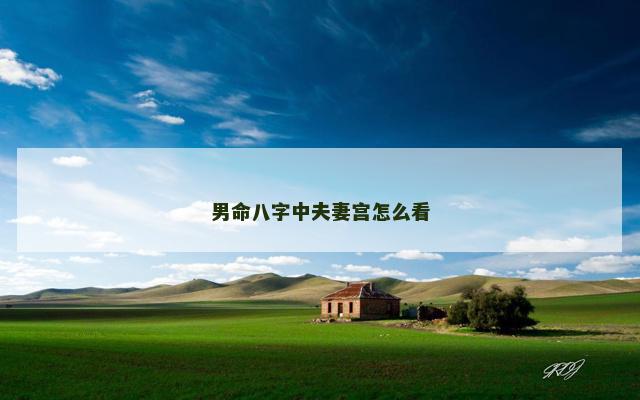 男命八字中夫妻宫怎么看