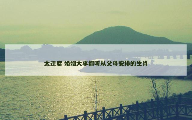 太迂腐 婚姻大事都听从父母安排的生肖