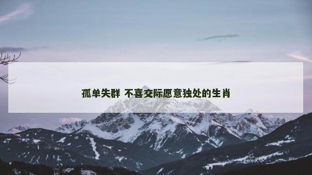 孤单失群 不喜交际愿意独处的生肖