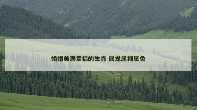 婚姻美满幸福的生肖 属龙属猴属兔