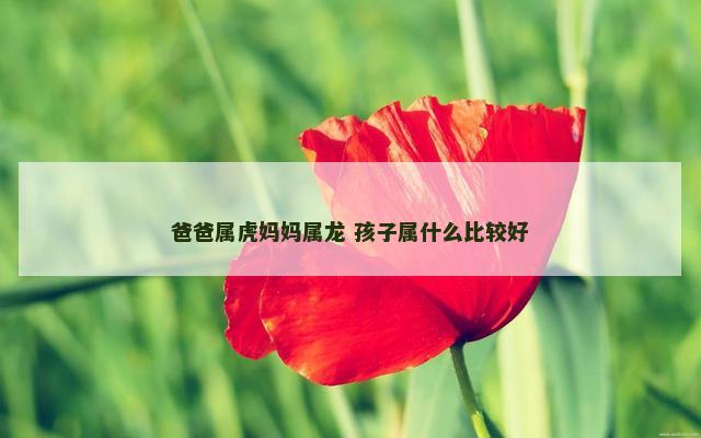 爸爸属虎妈妈属龙 孩子属什么比较好