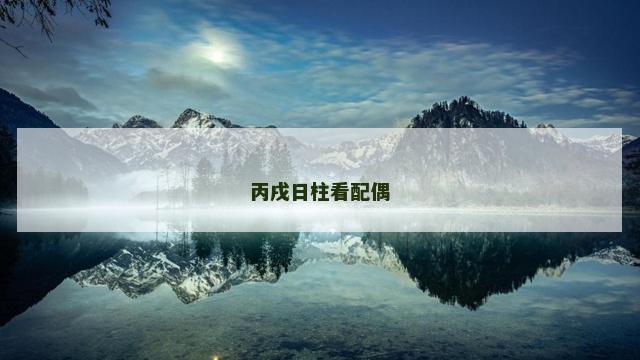 丙戌日柱看配偶