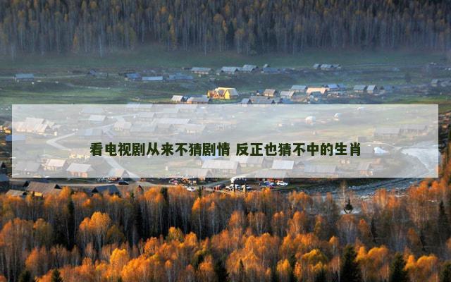 看电视剧从来不猜剧情 反正也猜不中的生肖