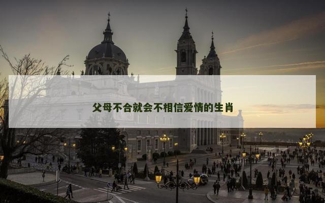父母不合就会不相信爱情的生肖