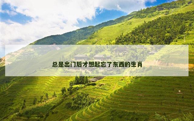 总是出门后才想起忘了东西的生肖