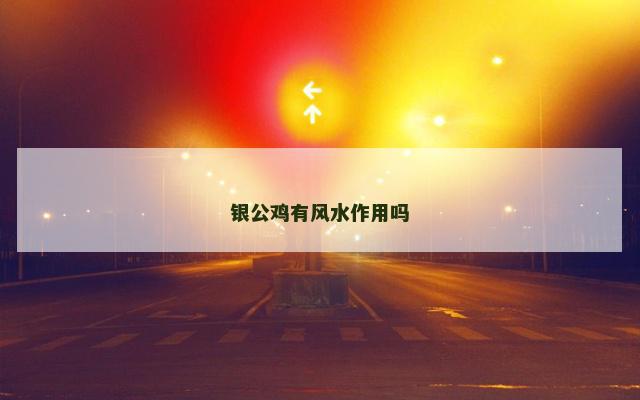 银公鸡有风水作用吗