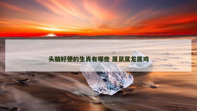 头脑好使的生肖有哪些 属鼠属龙属鸡