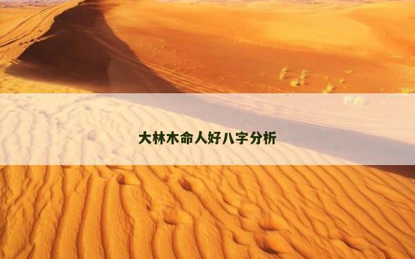 大林木命人好八字分析