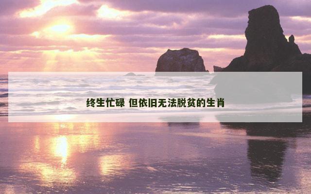 终生忙碌 但依旧无法脱贫的生肖