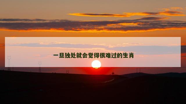 一旦独处就会觉得很难过的生肖