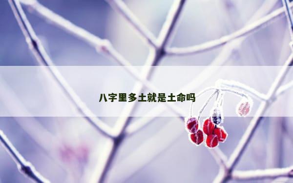 八字里多土就是土命吗