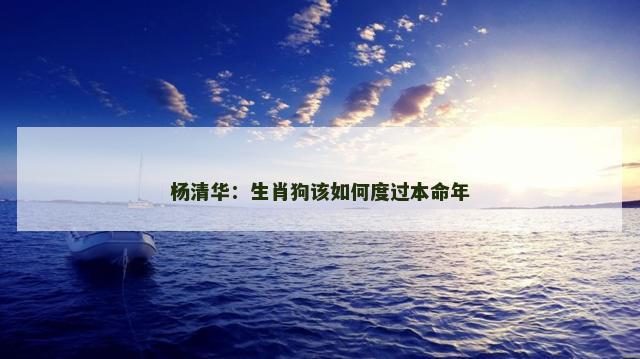杨清华：生肖狗该如何度过本命年