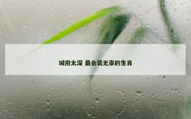 城府太深 最会装无辜的生肖