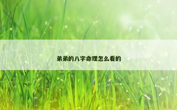 弟弟的八字命理怎么看的
