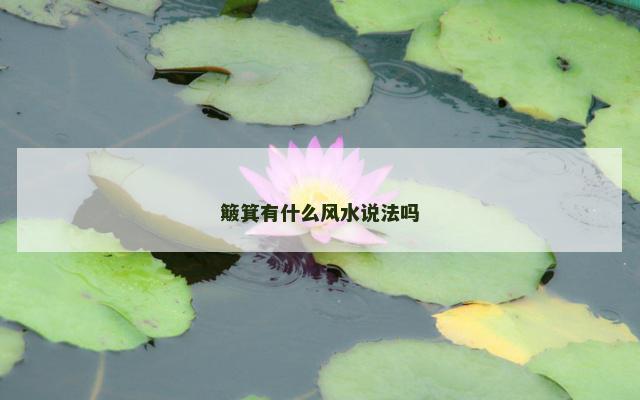 簸箕有什么风水说法吗